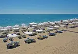 Perunika foto 19