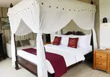 Puri Saron Lovina foto 3