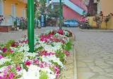 Lemon Grove Beach Hotel foto 18