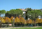 Torretta foto 30