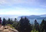 Whales, Bears and Vancouver Island foto 9