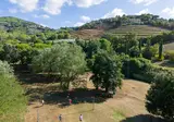 Le Pianacce Camping Village foto 30