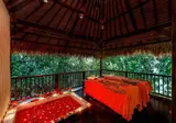 Nandini Jungle Resort & Spa foto 11