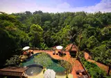 Nandini Jungle Resort & Spa foto 1