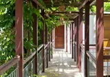 Kalypso Hotel foto 15