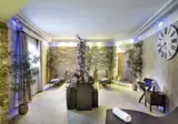 Royal Palm Hotel Terme foto 16