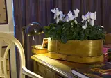 Hotel le Saint Gregoire foto 25