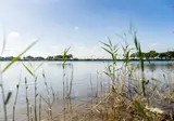 Kraaijenbergse Plassen foto 13