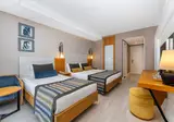 Sidera Kirman Premium foto 10