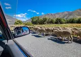 New Zealand off the beaten track foto 2