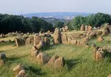 De fjorden op het gemak foto 3
