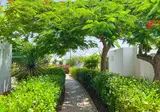 Bungalows Cordial Sandy Golf foto 27