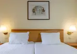 Flag Hotel Guimarães-Fafe foto 17