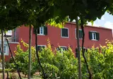 Quinta das Vinhas foto 2