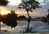 The Damai foto 27