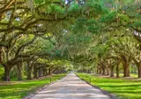 The American South foto 1
