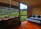 Rainforest Eco Lodge foto 24