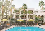 Palm Mountain Resort & Spa foto 16