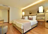 Turim Iberia Hotel foto 16