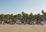 Selectum Family Resort foto 51