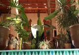 Riad Al Ksar & Spa foto 26