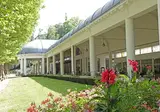 Vittel foto 8