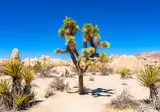 The Ultimate Southwest USA Experience foto 1