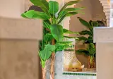 Palais Moulay Said & SPA foto 19