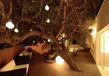 3HB Golden Beach foto 22