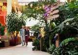 Center Parcs Park Bostalsee foto 12