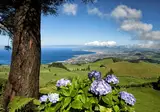 8 daagse fly drive Sao Miguel Faial & Pico foto 3