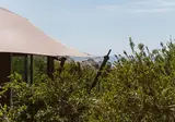 The Revery Crete foto 5
