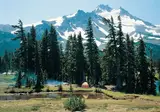 Oregon op het gemak foto 15