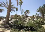 ananea Hurghada foto 4