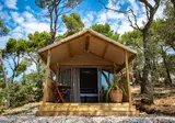 Arena One 99 Glamping foto 11