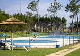 Gala foto 1