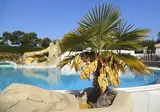 La Yole foto 27