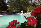 Terme Forlenza Hotel foto 5