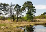 Oostappen Vakantiepark Boschbeek foto 4