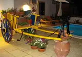 Betica foto 23