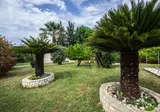 Villa Violetta foto 15