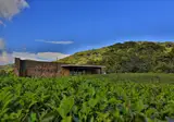 Rainforest Eco Lodge foto 29