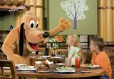 Walt Disney World Dolphin Hotel foto 13
