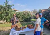 Vakantiepark Pinea Mare foto 15
