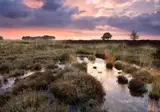 Summio Vakantiepark Het Drentse Wold foto 14