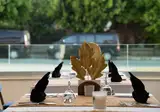 Merve Sun Hotel & Spa foto 21