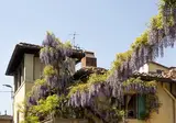Le Cannelle B&B foto 28