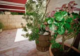 Villa Rustica Dalmatia foto 8