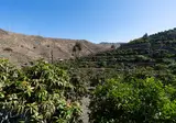 Finca Oasis foto 18