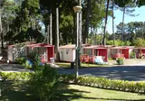 Caminha foto 4
